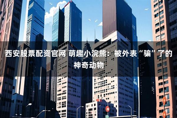 西安股票配资官网 萌趣小浣熊：被外表“骗”了的神奇动物