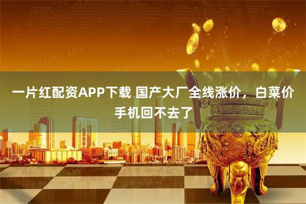 一片红配资APP下载 国产大厂全线涨价，白菜价手机回不去了